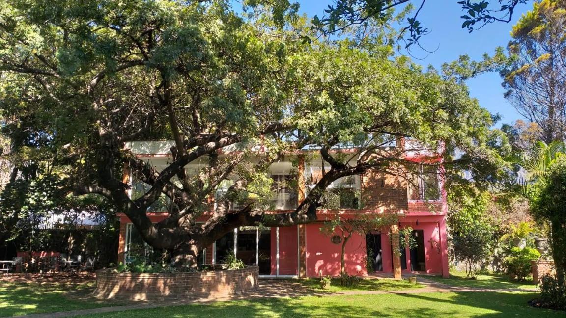 Casa Amor Tepoztlan Εξωτερικό φωτογραφία