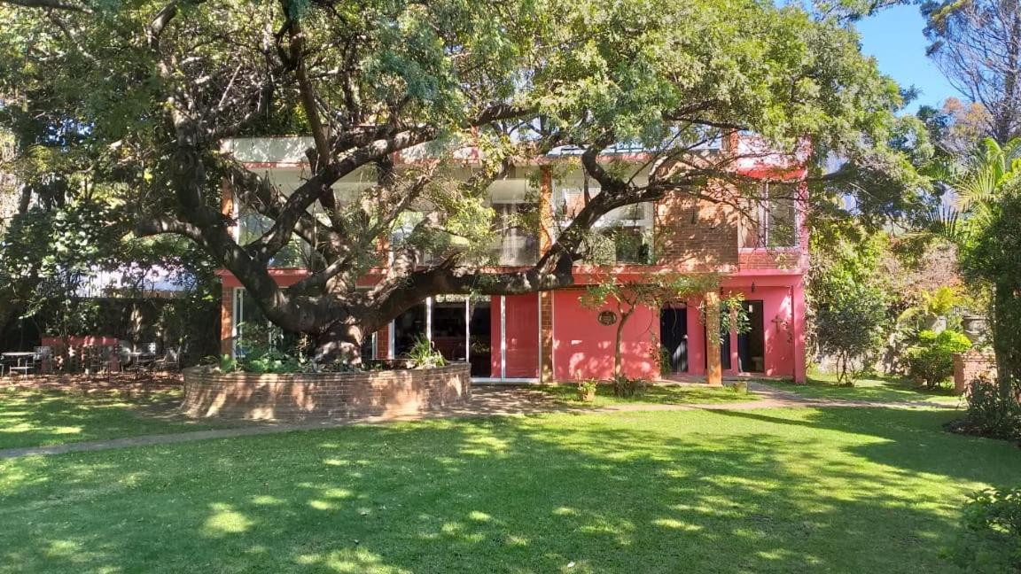 Casa Amor Tepoztlan Εξωτερικό φωτογραφία